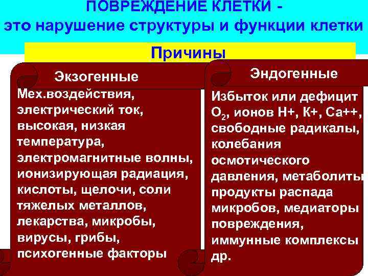 ПОВРЕЖДЕНИЕ КЛЕТКИ - это нарушение структуры и функции клетки Причины Экзогенные Мех. воздействия, электрический