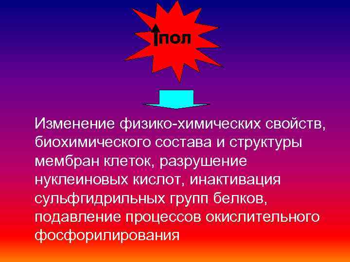 ПОЛ Изменение физико-химических свойств, биохимического состава и структуры мембран клеток, разрушение нуклеиновых кислот, инактивация