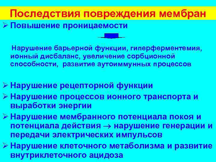 Последствия повреждения мембран Ø Повышение проницаемости Нарушение барьерной функции, гиперферментемия, ионный дисбаланс, увеличение сорбционной