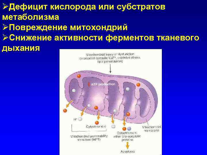 ØДефицит кислорода или субстратов метаболизма ØПовреждение митохондрий ØСнижение активности ферментов тканевого дыхания 