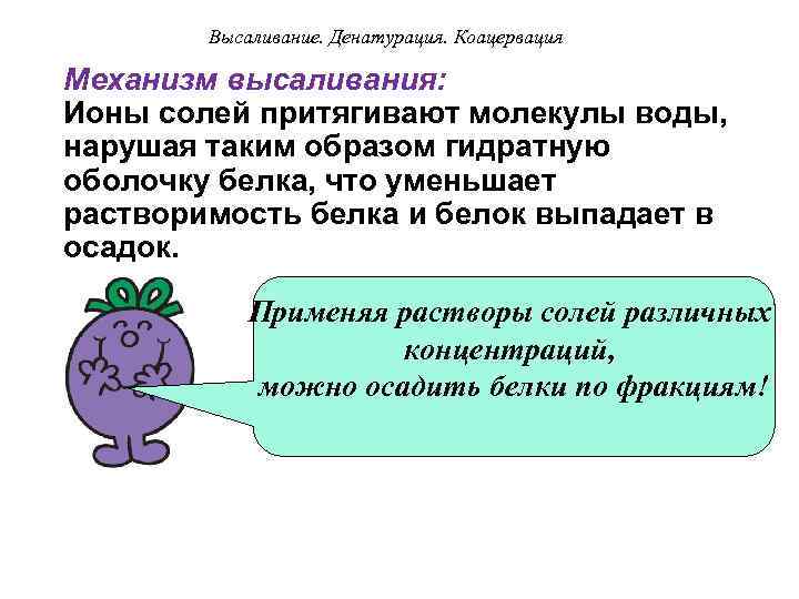 Высаливание. Денатурация. Коацервация Механизм высаливания: Ионы солей притягивают молекулы воды, нарушая таким образом гидратную