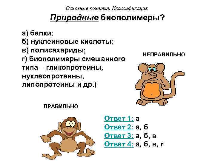 Основные понятия. Классификация Природные биополимеры? а) белки; б) нуклеиновые кислоты; в) полисахариды; г) биополимеры