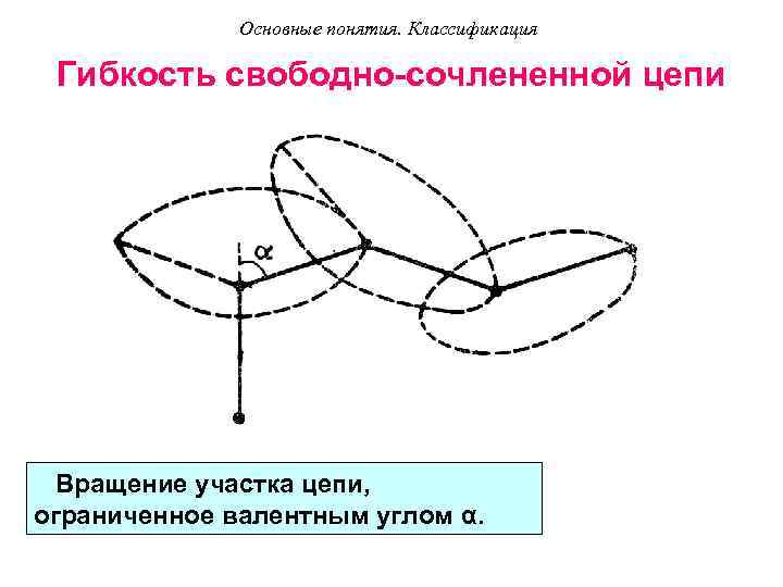 Основные понятия. Классификация Гибкость свободно-сочлененной цепи Вращение участка цепи, ограниченное валентным углом α. 