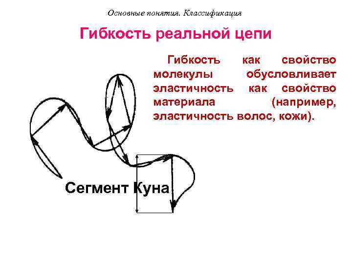 Основные понятия. Классификация Гибкость реальной цепи Гибкость как свойство молекулы обусловливает эластичность как свойство