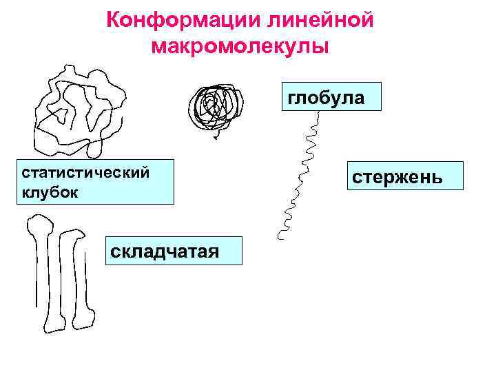 Конформации линейной макромолекулы глобула статистический клубок складчатая стержень 