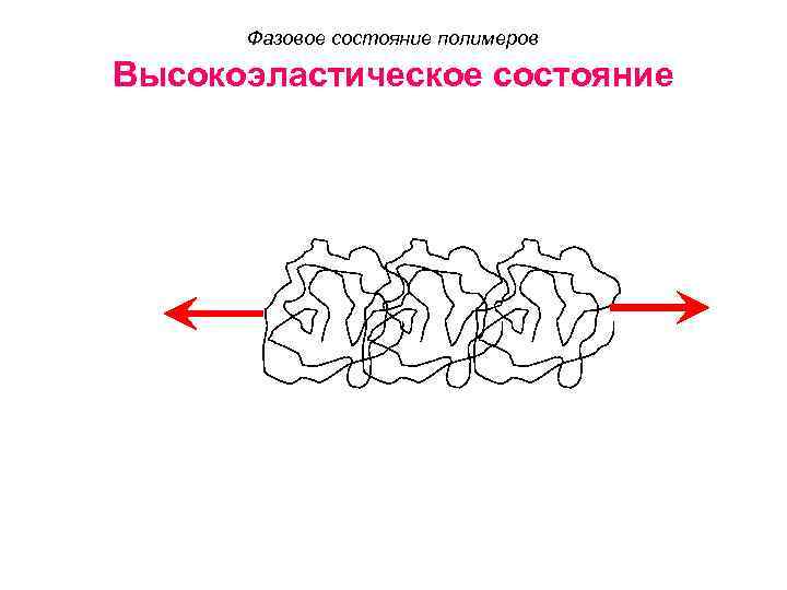 Фазовое состояние полимеров Высокоэластическое состояние 