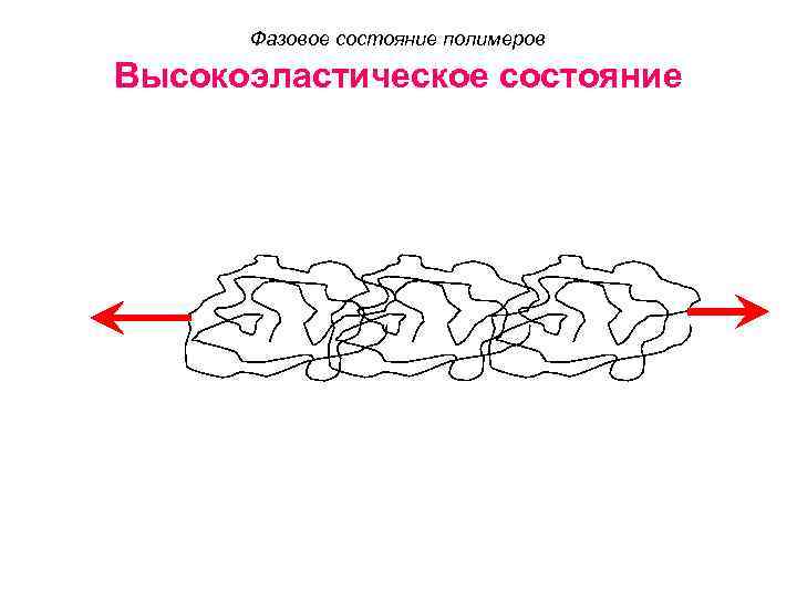 Фазовое состояние полимеров Высокоэластическое состояние 