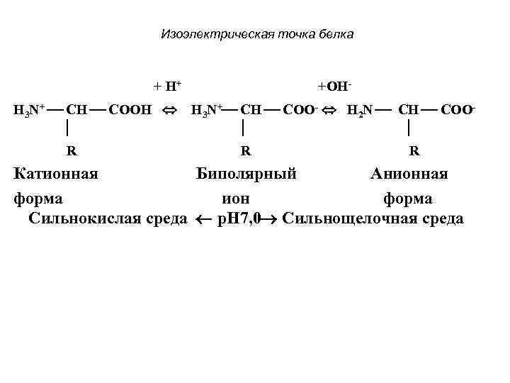 Изоэлектрическая точка белка + H+ H 3 N+ CH COOH R +ОHH 3 N+