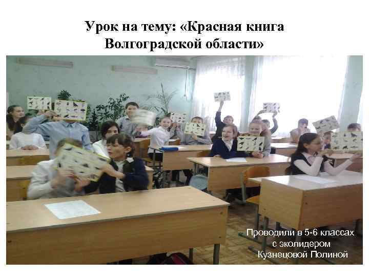 Урок на тему: «Красная книга Волгоградской области» Проводили в 5 -6 классах с эколидером