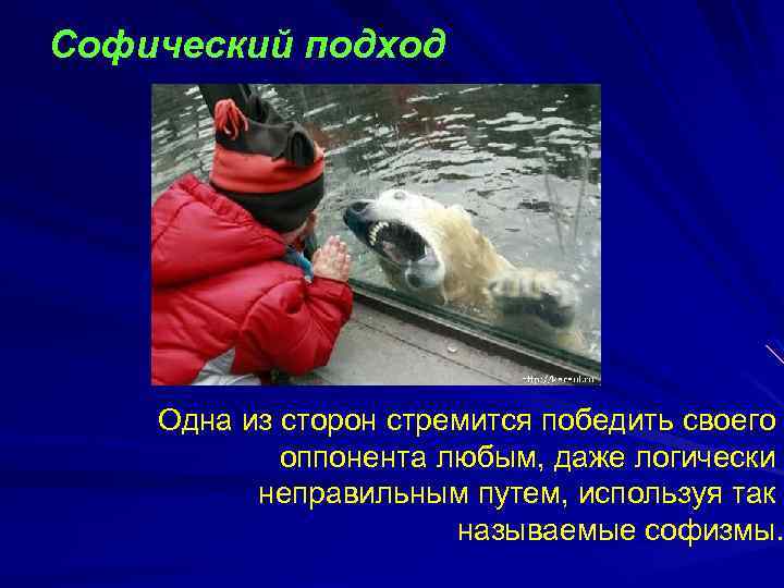 Софический подход Одна из сторон стремится победить своего оппонента любым, даже логически неправильным путем,