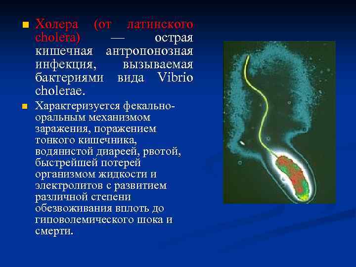 n Холера (от латинского cholera) — острая кишечная антропонозная инфекция, вызываемая бактериями вида Vibrio