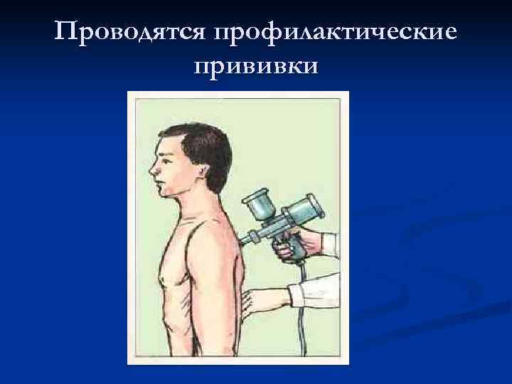 Проводятся профилактические прививки 