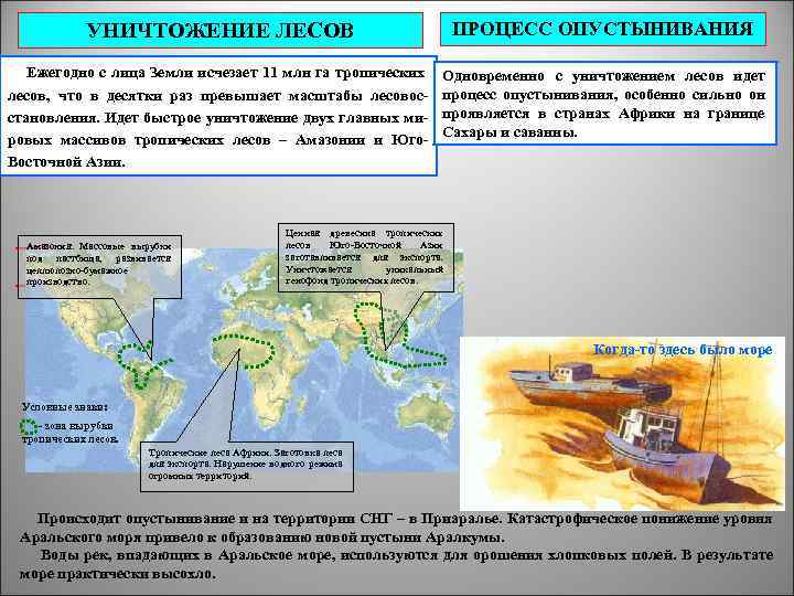 УНИЧТОЖЕНИЕ ЛЕСОВ ПРОЦЕСС ОПУСТЫНИВАНИЯ Ежегодно с лица Земли исчезает 11 млн га тропических лесов,