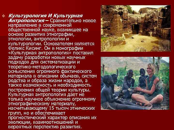 v Культурология И Культурная Антропология – Сравнительно новое направление в современной общественной науке, возникшее