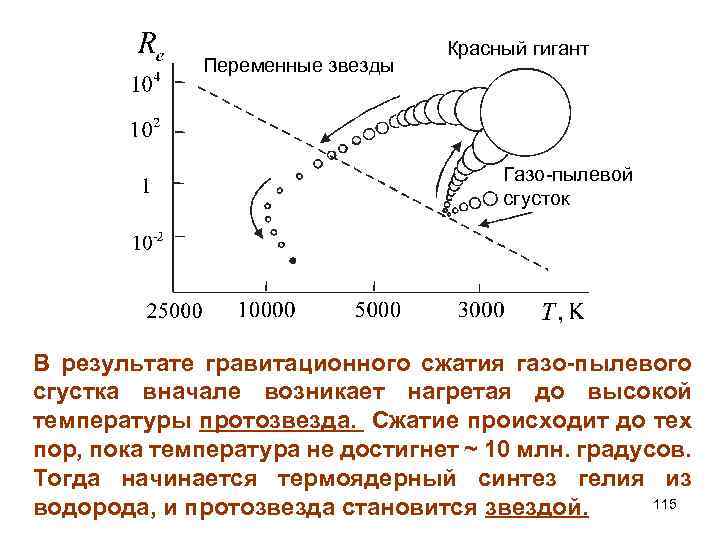Переменные звезды Красный гигант Газо-пылевой сгусток В результате гравитационного сжатия газо-пылевого сгустка вначале возникает