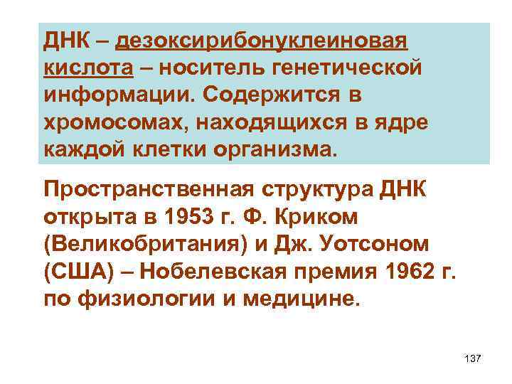 ДНК – дезоксирибонуклеиновая кислота – носитель генетической информации. Содержится в хромосомах, находящихся в ядре