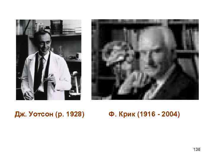 Дж. Уотсон (р. 1928) Ф. Крик (1916 - 2004) 138 