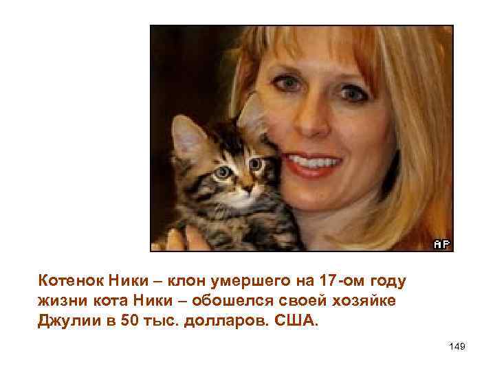 Котенок Ники – клон умершего на 17 -ом году жизни кота Ники – обошелся