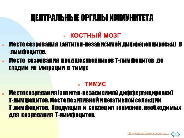 ЦЕНТРАЛЬНЫЕ ОРГАНЫ ИММУНИТЕТА КОСТНЫЙ МОЗГ Место созревания (антиген-независимой дифференцировки) В -лимфоцитов. Место созревания предшественников