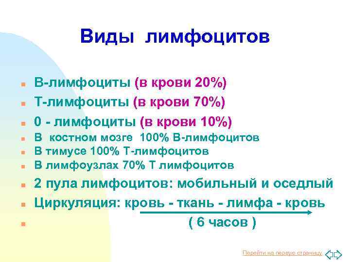 Виды лимфоцитов n n n n n В-лимфоциты (в крови 20%) Т-лимфоциты (в крови