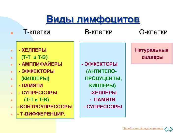 Виды лимфоцитов n n n Т-клетки - ХЕЛПЕРЫ (Т-Т и Т-В) - АМПЛИФАЙЕРЫ -