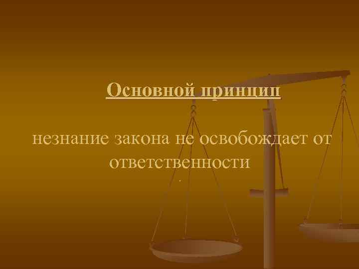 Основной принцип незнание закона не освобождает от ответственности. 