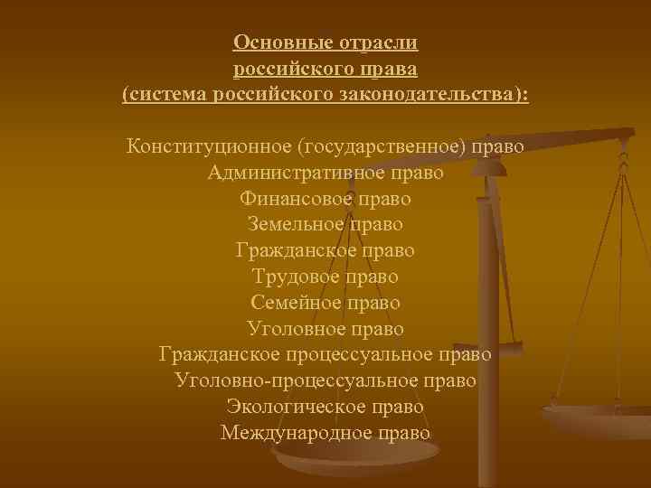 Основные отрасли российского права (система российского законодательства): Конституционное (государственное) право Административное право Финансовое право