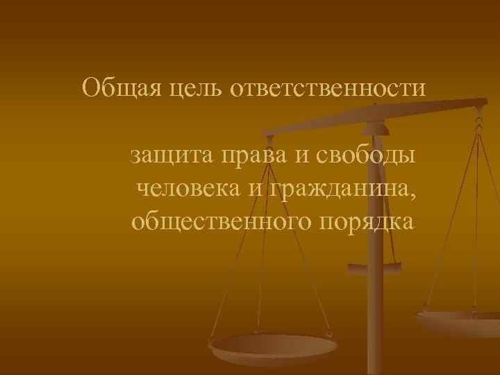 Общая цель ответственности защита права и свободы человека и гражданина, общественного порядка 