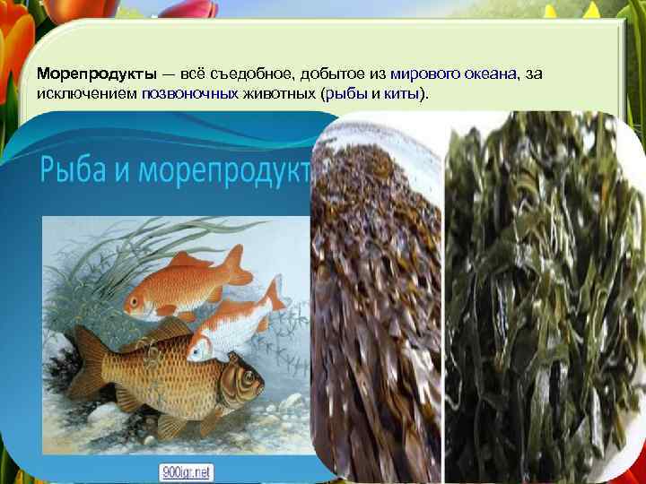 Морепродукты — всё съедобное, добытое из мирового океана, за исключением позвоночных животных (рыбы и