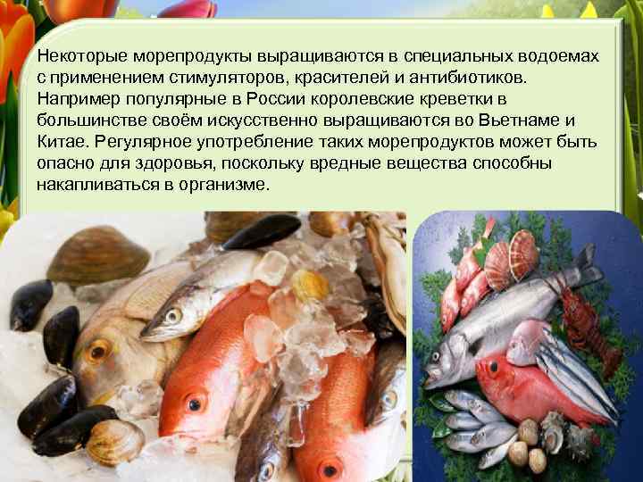 Некоторые морепродукты выращиваются в специальных водоемах с применением стимуляторов, красителей и антибиотиков. Например популярные