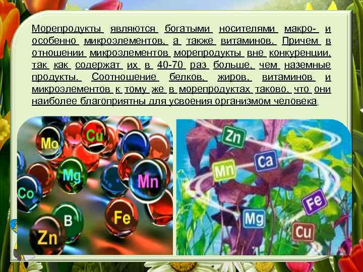 Морепродукты являются богатыми носителями макро- и особенно микроэлементов, а также витаминов. Причем в отношении