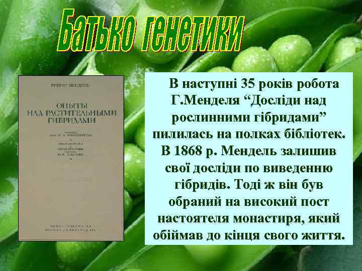 В наступні 35 років робота Г. Менделя “Досліди над рослинними гібридами” пилилась на полках