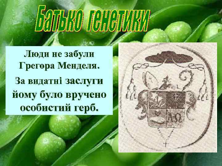 Люди не забули Грегора Менделя. За видатні заслуги йому було вручено особистий герб. 