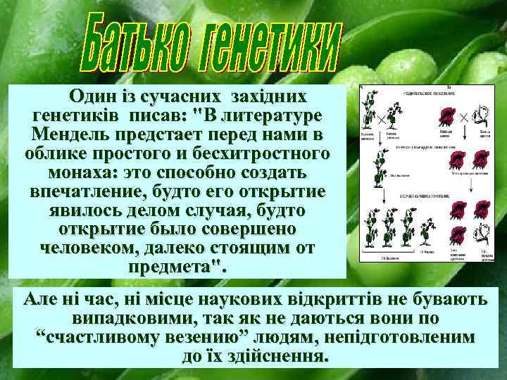 Один із сучасних західних генетиків писав: 