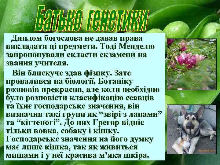 Диплом богослова не давав права викладати ці предмети. Тоді Менделю запропонували скласти екзамени на