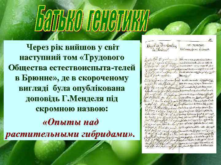 Через рік вийшов у світ наступний том «Трудового Общества естествоиспыта-телей в Брюнне» , де