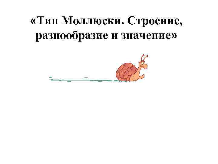  «Тип Моллюски. Строение, разнообразие и значение» 