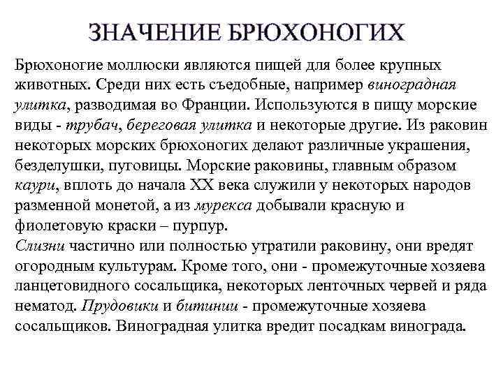 ЗНАЧЕНИЕ БРЮХОНОГИХ Брюхоногие моллюски являются пищей для более крупных животных. Среди них есть съедобные,
