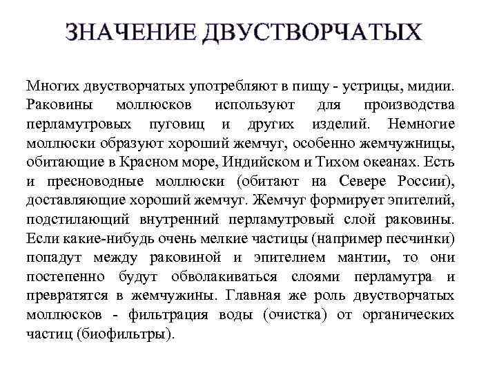 ЗНАЧЕНИЕ ДВУСТВОРЧАТЫХ Многих двустворчатых употребляют в пищу - устрицы, мидии. Раковины моллюсков используют для