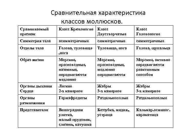 Сравнительная характеристика классов моллюсков. Сравниваемый признак Класс Брюхоногие Класс Двустворчатые Класс Головоногие Симметрия тела
