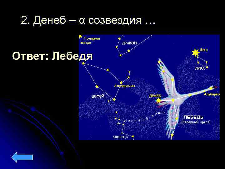 2. Денеб – α созвездия … Ответ: Лебедя 