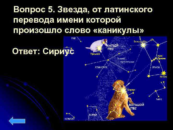 Вопрос 5. Звезда, от латинского перевода имени которой произошло слово «каникулы» Ответ: Сириус 