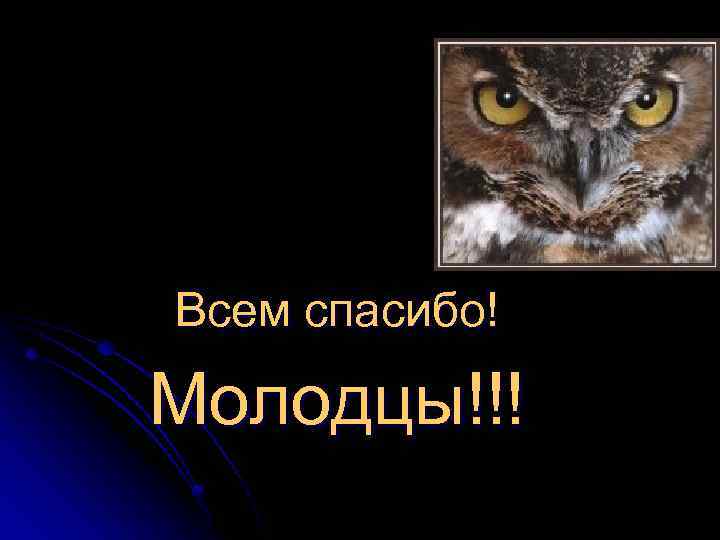 Всем спасибо! Молодцы!!! 