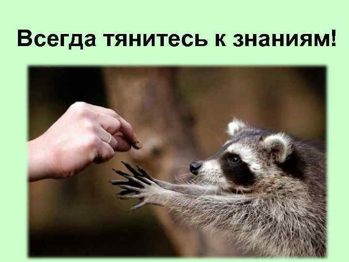 Всегда тянитесь к знаниям! 