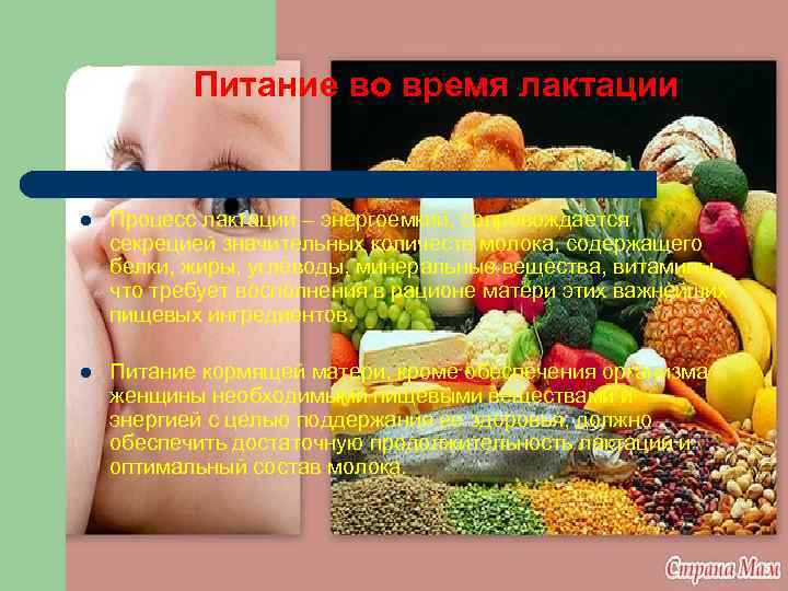 Питание во время лактации l Процесс лактации – энергоемкий, сопровождается секрецией значительных количеств молока,