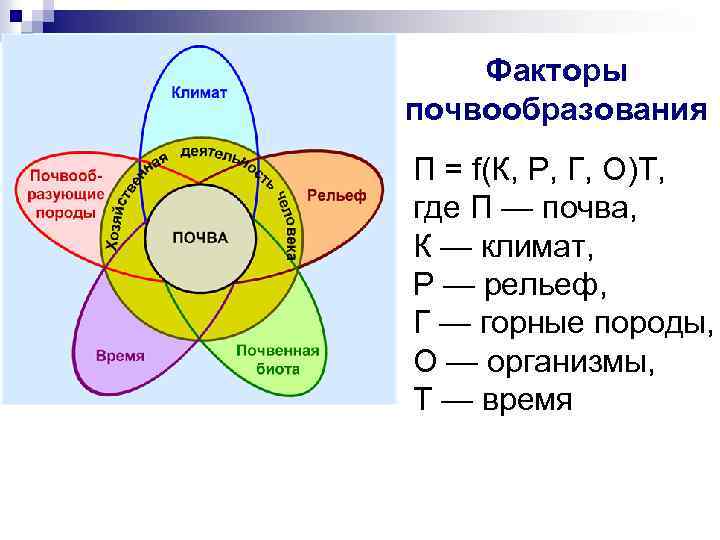 Факторы почвообразования П = f(К, Р, Г, О)T, где П — почва, К —