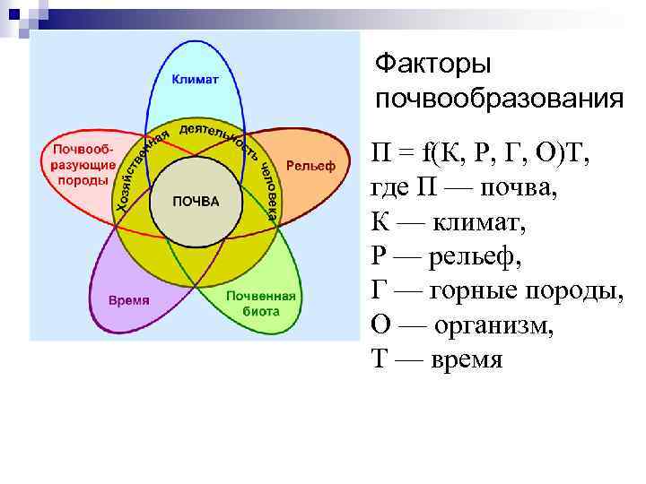 Факторы почвообразования. Факторы почвообразования кратко. Факторы почвообразования по Докучаеву. Формула почвообразования.