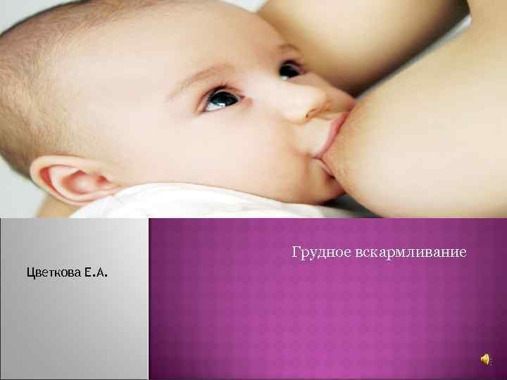 ГРУДНОЕ ВСКАРМЛИВАН ИЕ Грудное вскармливание Цветкова Е. А. 