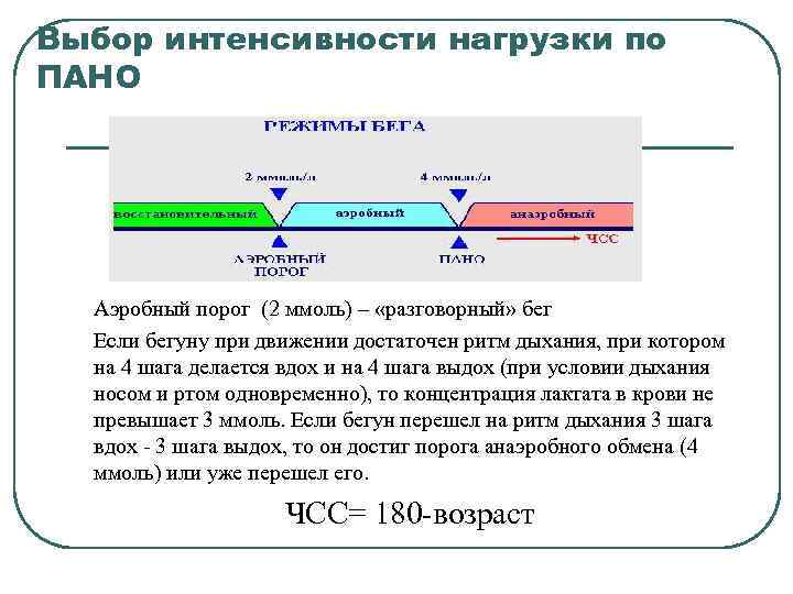 Выбор интенсивности нагрузки по ПАНО Аэробный порог (2 ммоль) – «разговорный» бег Если бегуну