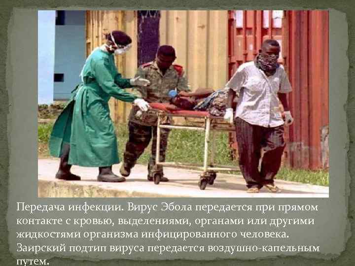 Передача инфекции. Вирус Эбола передается при прямом контакте с кровью, выделениями, органами или другими